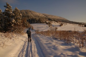 biegówki beskid wyspowy małopolska narty biegowe back country noclegi wypożyczalnia