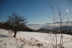 biegówki beskid wyspowy małopolska narty biegowe back country noclegi wypożyczalnia