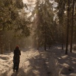 biegówki beskid wyspowy małopolska narty biegowe back country noclegi