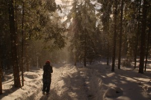 biegówki beskid wyspowy małopolska narty biegowe back country noclegi