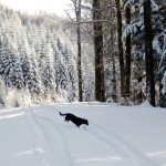 noclegi Beskid Wyspowy agroturystyka wakacje dzieci