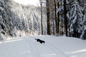 noclegi Beskid Wyspowy agroturystyka wakacje dzieci