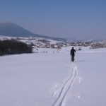 biegówki beskid wyspowy małopolska narty biegowe