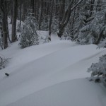 biegówki beskid wyspowy małopolska narty biegowe back country noclegi wypożyczalnia