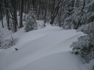 biegówki beskid wyspowy małopolska narty biegowe back country noclegi wypożyczalnia