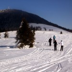 biegówki beskid wyspowy małopolska narty biegowe back country noclegi wypożyczalnia