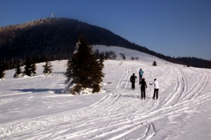 biegówki beskid wyspowy małopolska narty biegowe back country noclegi wypożyczalnia